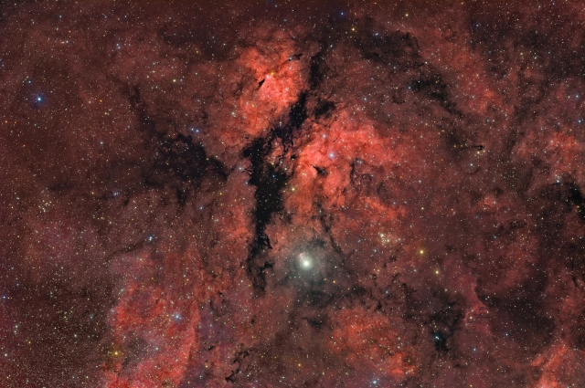 IC1318 - Sadr Region
